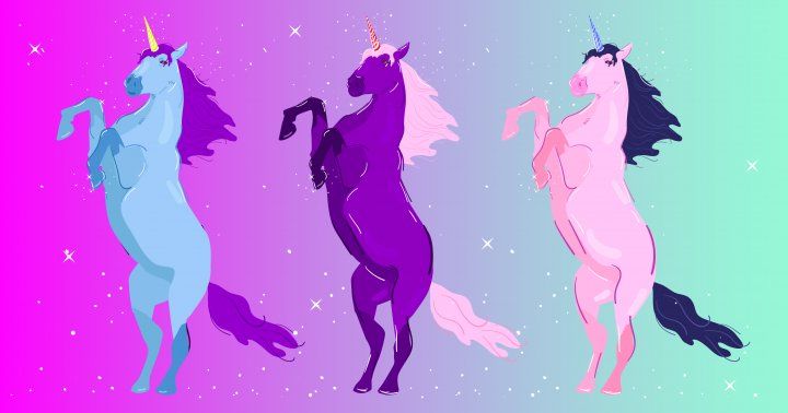 The Magical World Of Unicorns